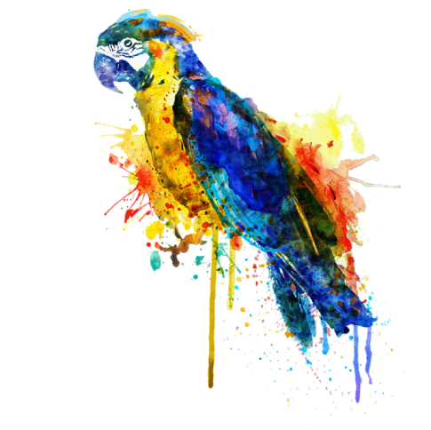 Üçel Boya A.Ş.  Sitemiz